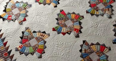 How to Make a Beautiful Twirling Fans Quilt